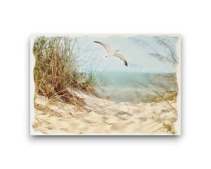 Ansichtkaart - Vliegende meeuw boven het strand