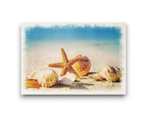 Ansichtkaart - Zeester en schelpen op het strand