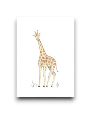 A6 Ansichtkaart - Giraffe