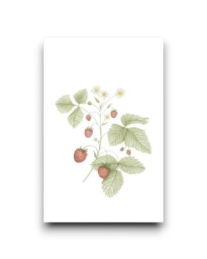 Minikaartje - Aardbeienplant