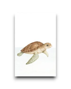 Minikaartje - Schildpad