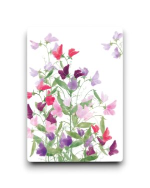 A6 Ansichtkaart - Lathyrus flowers