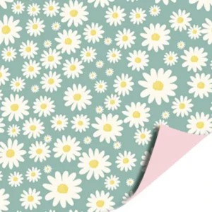 Cadeaupapier - Madeliefjes mint