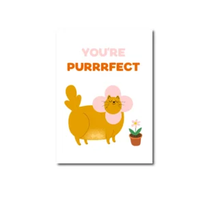 A6 Ansichtkaart - Youre purrfuct cat